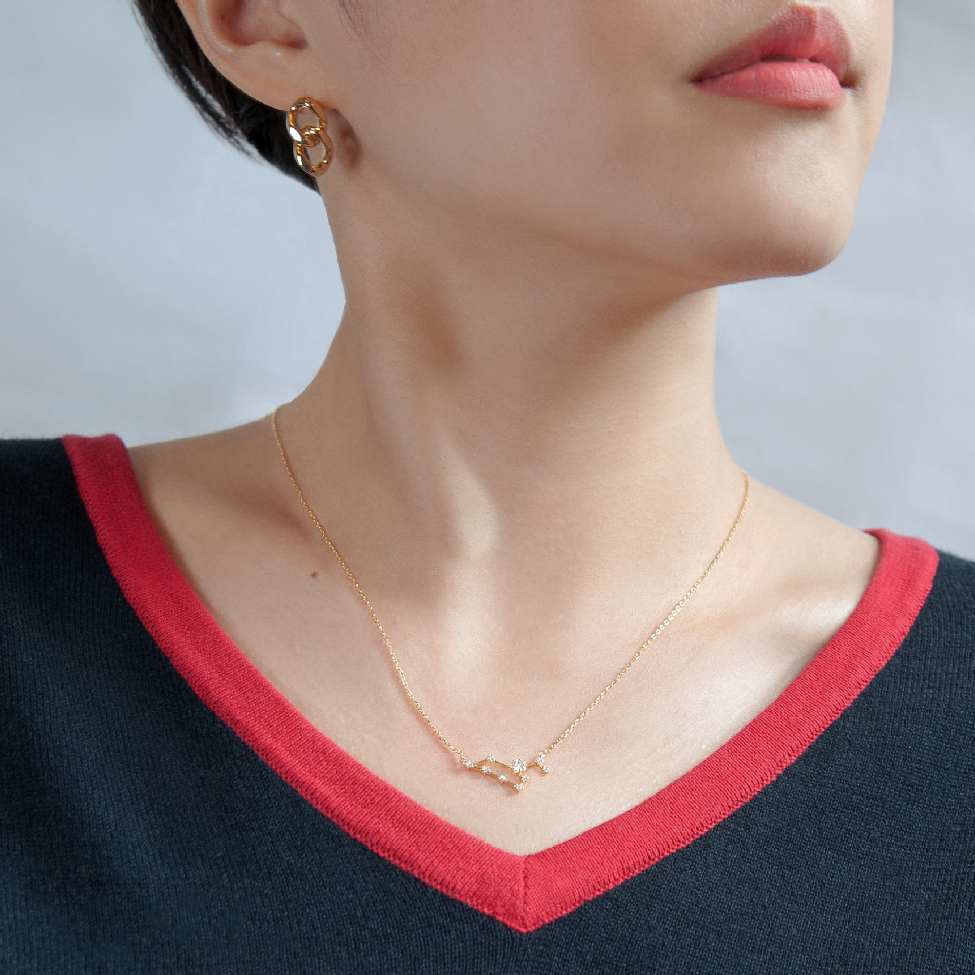 Leo Zodiac Necklace Secret Box New York